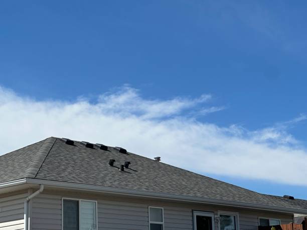 Best Roof Ventilation Installation  in West Frankfort, IL